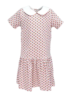 Autumn Blooms Short Sleeve Libby Dress With Peter Pan Collar