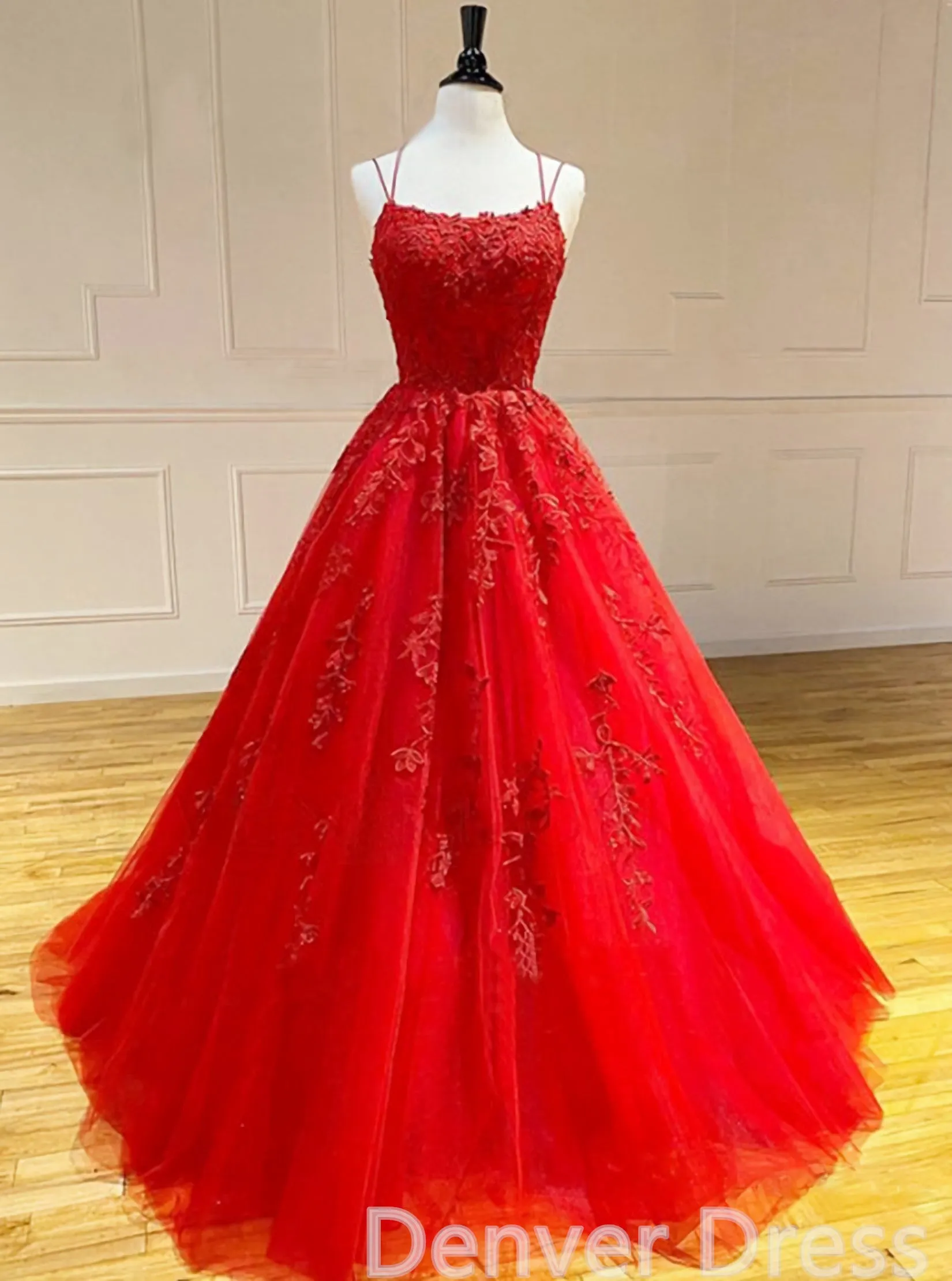 Long Prom Dresses Lace Appliques Princess Dresses