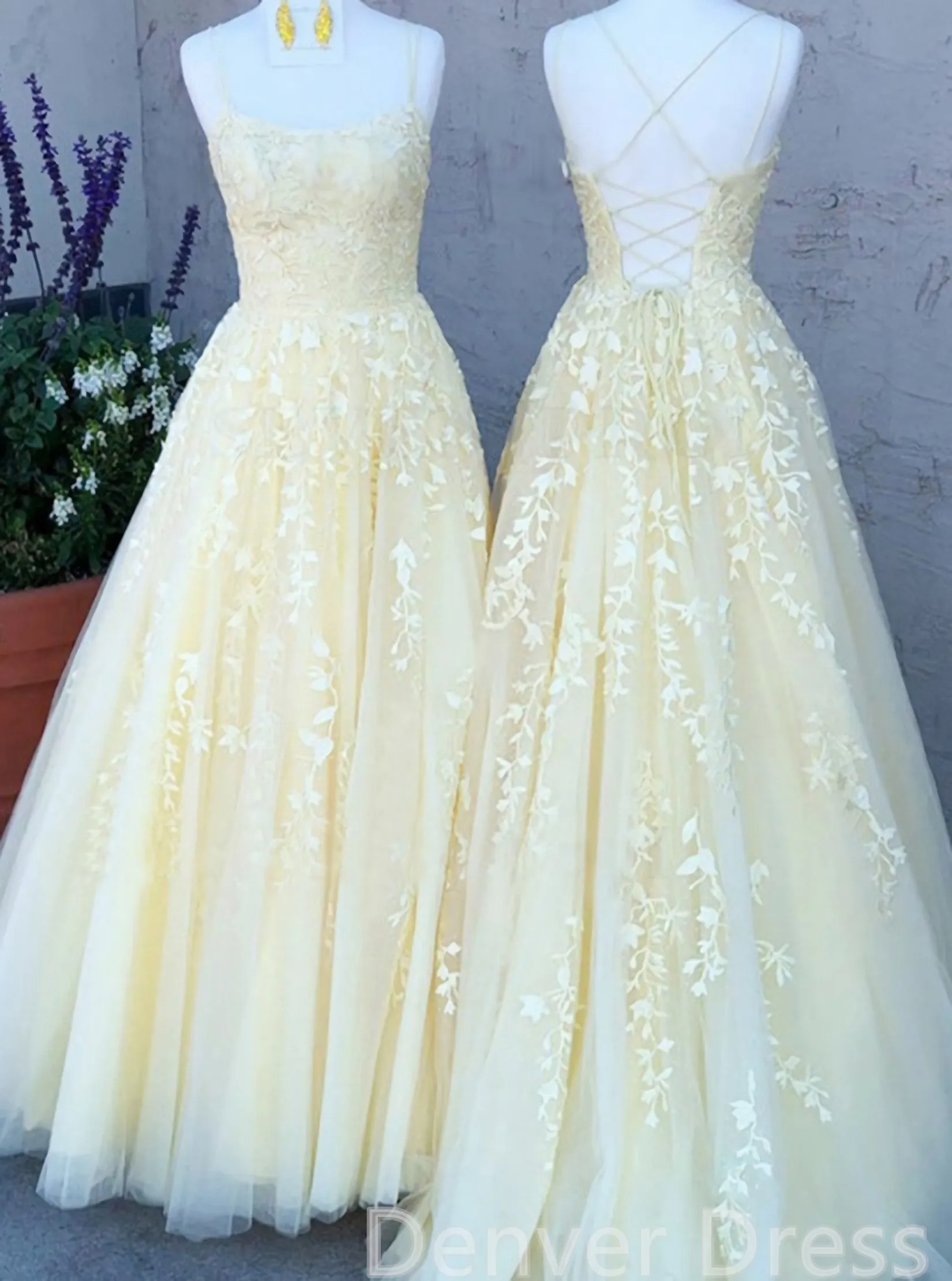 Long Prom Dresses Lace Appliques Princess Dresses