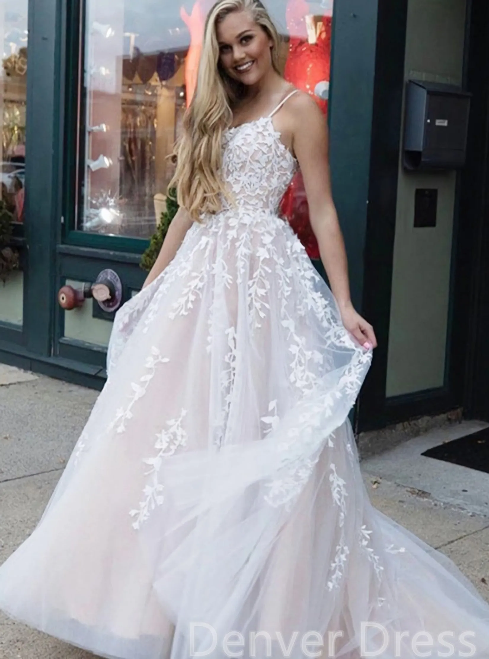 Long Prom Dresses Lace Appliques Princess Dresses