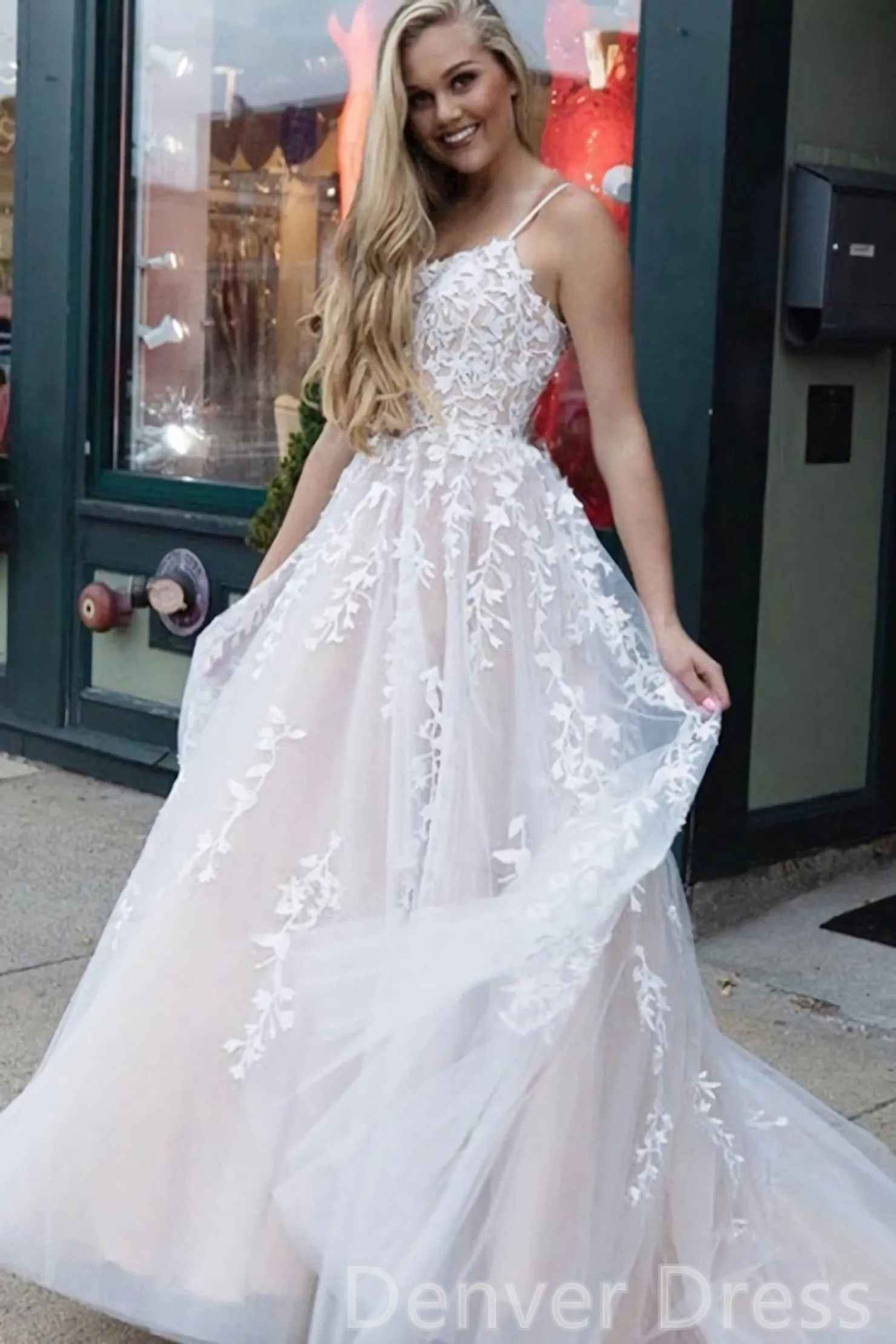 Long Prom Dresses Lace Appliques Princess Dresses