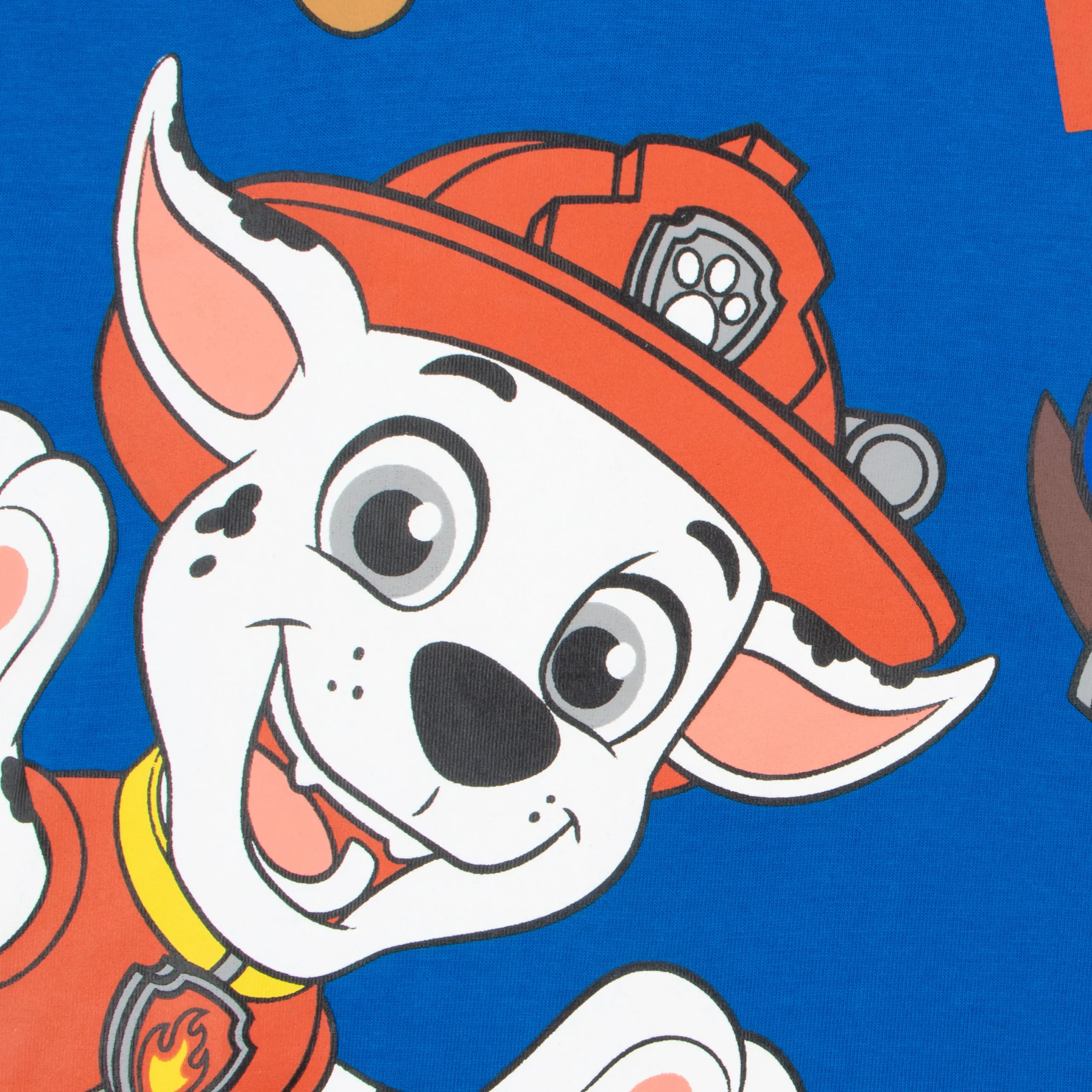 PAW Patrol T-Shirt - All Paws In