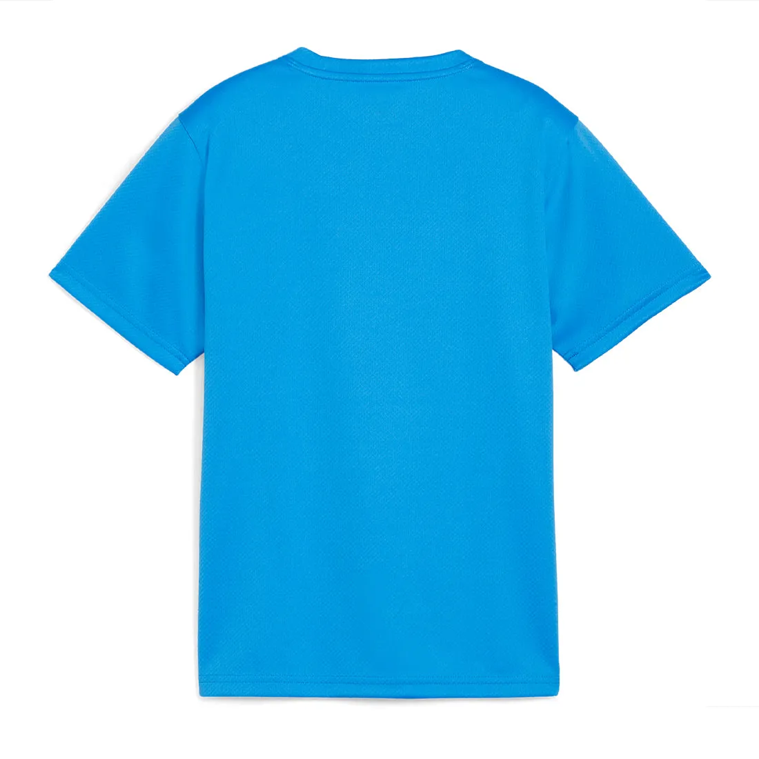 PUMA Teamgoal Junior Jersey Blue